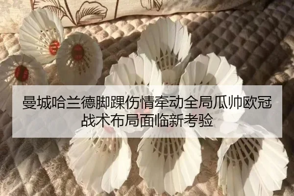 曼城哈兰德脚踝伤情牵动全局瓜帅欧冠战术布局面临新考验